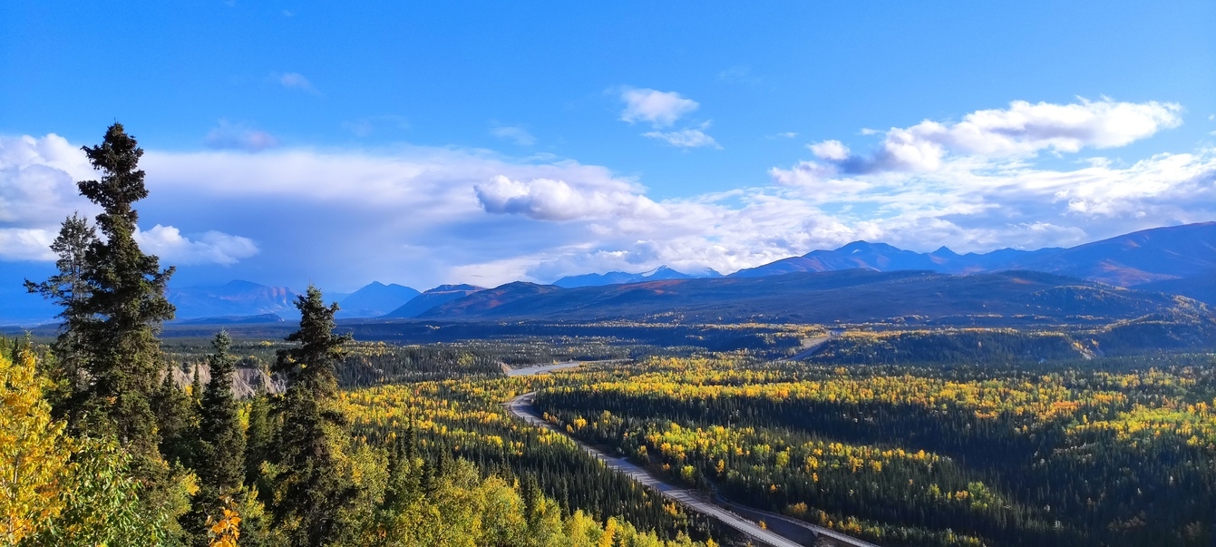 Denali National Park 14 29