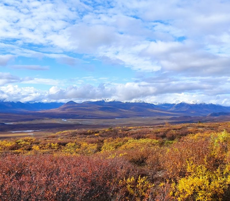Denali Highway 7