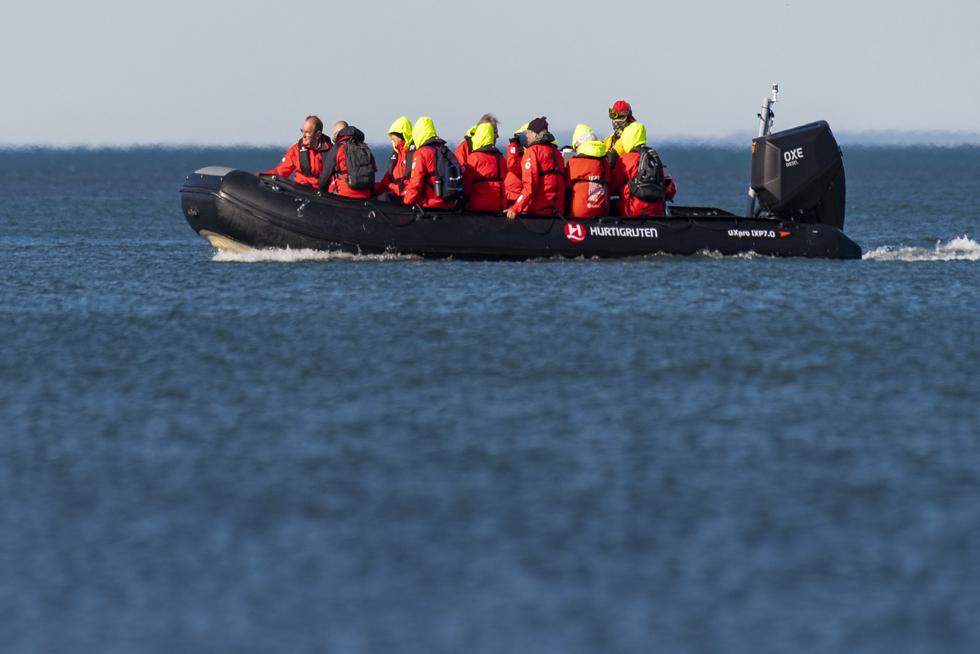 Tenderboat Cruising King S Point