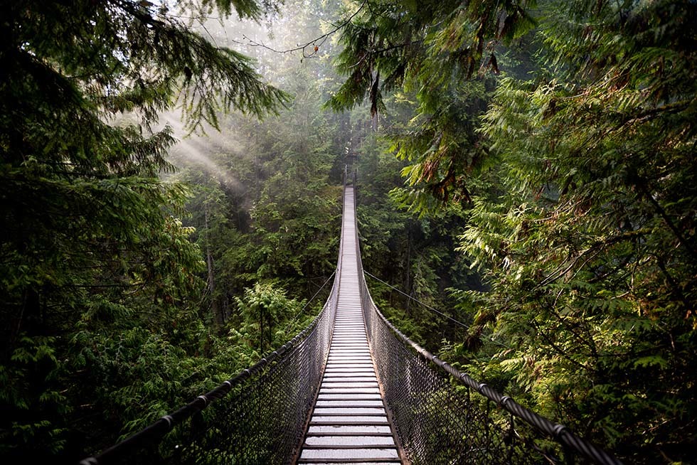 Capilano Bridge