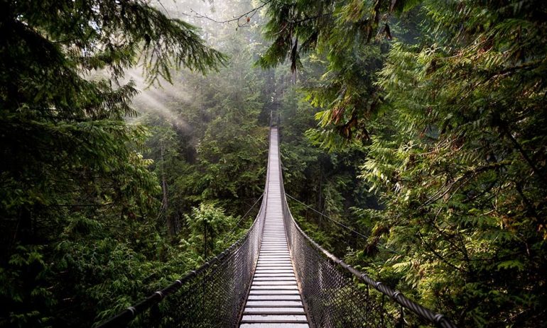 Capilano Bridge