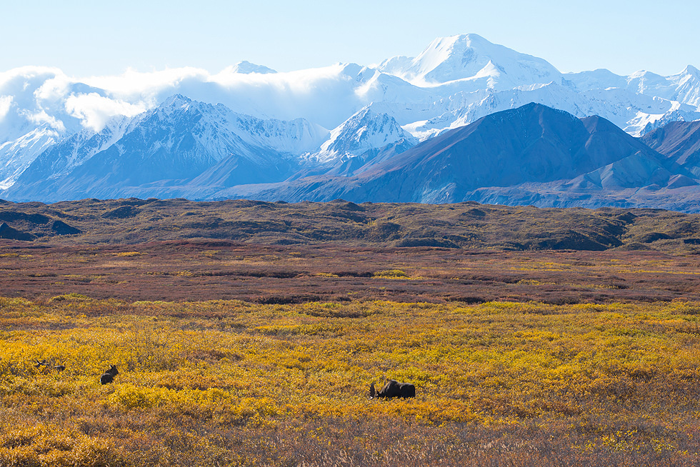 Denali Np 2