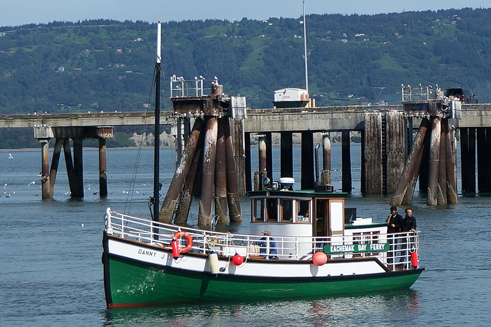Danny J Ferry Halibut Cove Homer