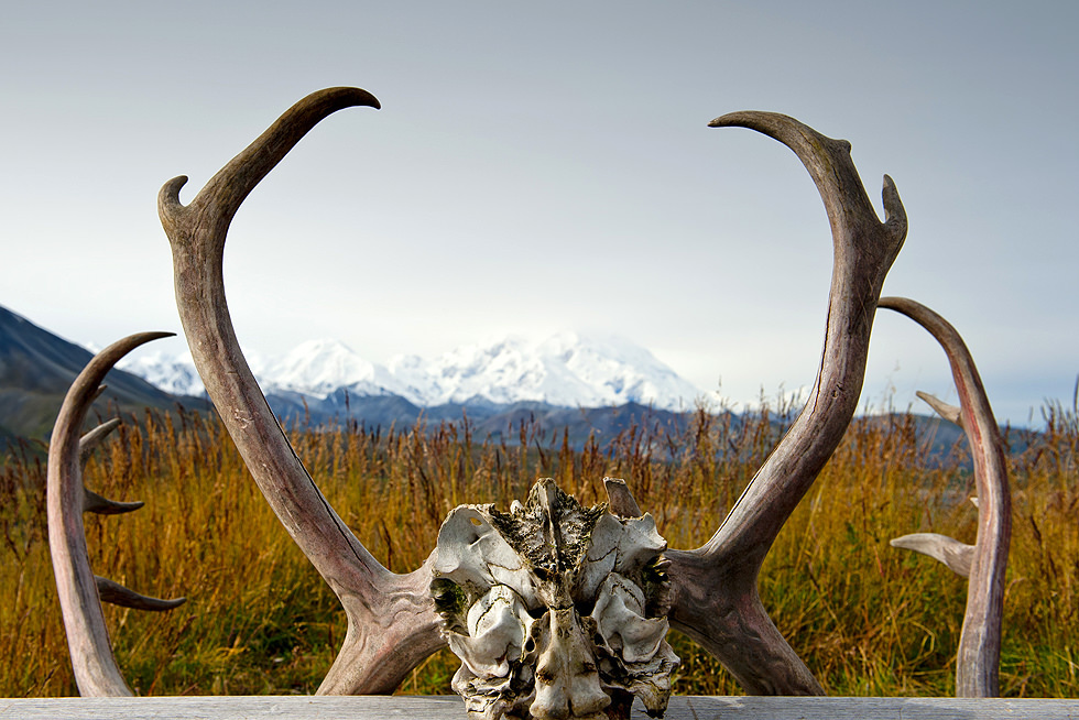 Antlers Landscape