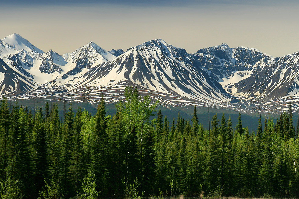 Yukon 3