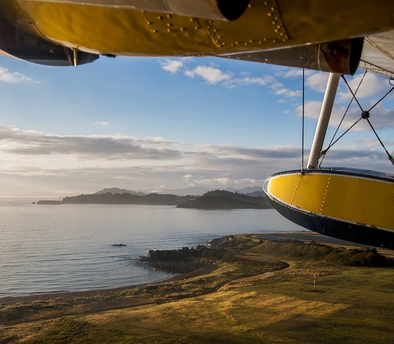 Bushplane 31